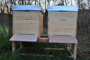 Der Bienenstand am Abend des 6. April nach dem Aufstellen der Beuten.